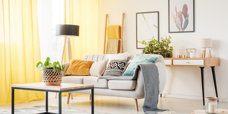 Plant in warm living room