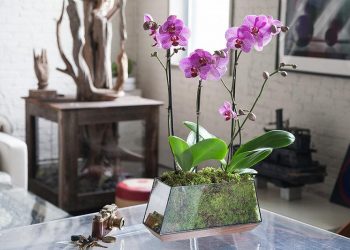 Something pretty for your Mom – Flower gifts for your Mother