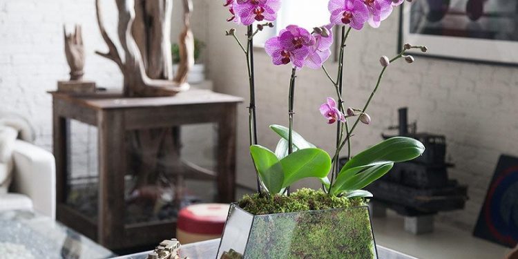 Something pretty for your Mom – Flower gifts for your Mother