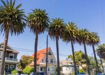 Home Cooling Blunders That Stand to Raise Utility Costs