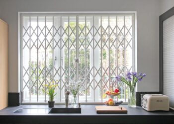 Security Grilles For Windows