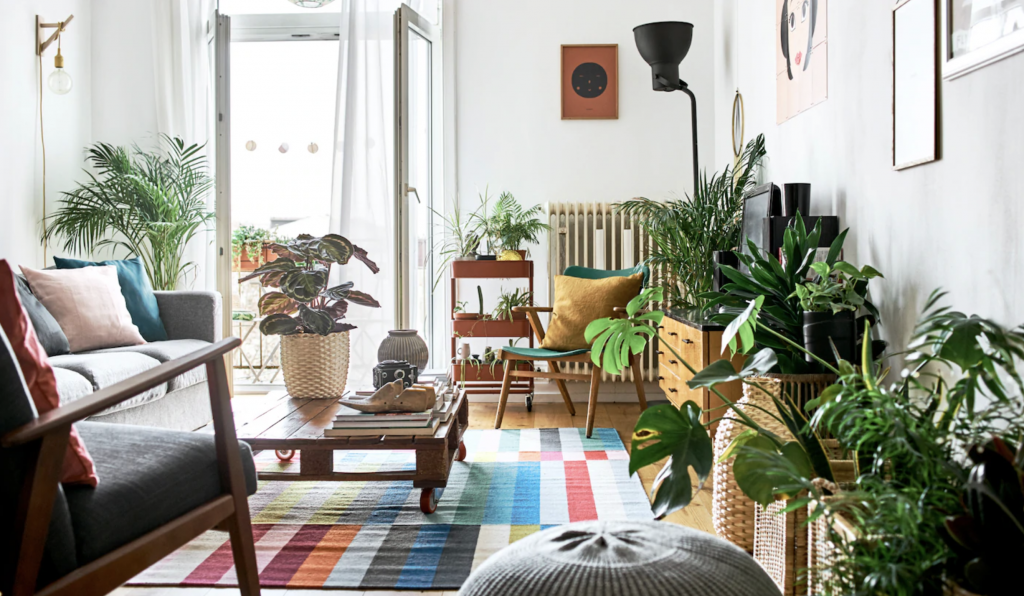10 Living Room Decor Tricks for a Standout Space House Integrals