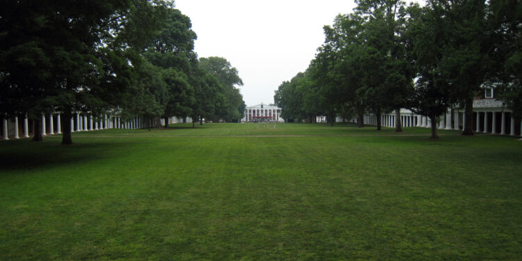 Greener With Lawn Care