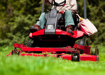 How to Choose the Right Kind of Lawn Mower 