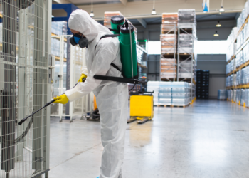 Commercial Pest Control Services- What You Need to Know?