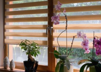 What Are The Different Varieties of Blinds Available?