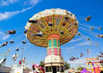 Fun Things to Do with Kids in Calgary 