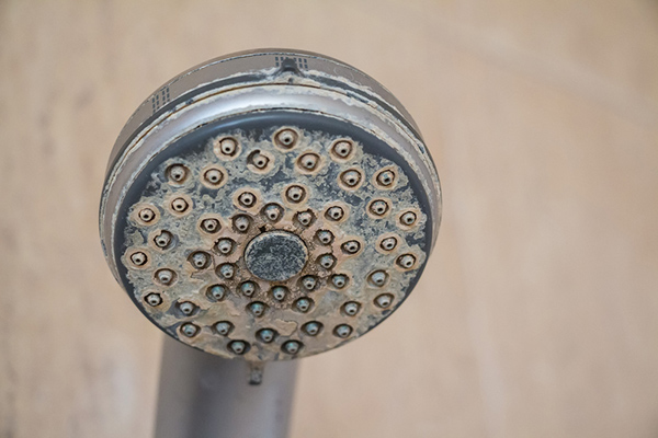 band shower rusting due to Hard Water