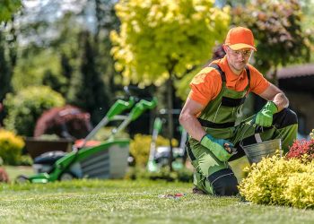 Why Investing In A Professional Landscaper Is Worth The Money