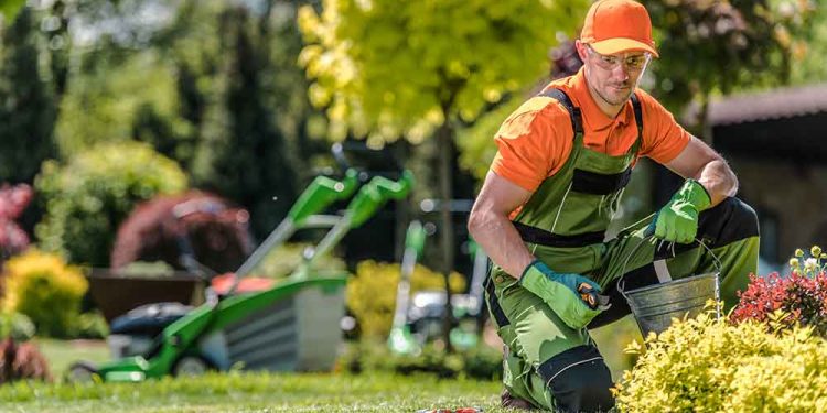 Why Investing In A Professional Landscaper Is Worth The Money