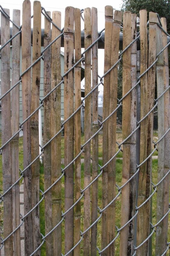 Fence Using Bamboo Sticks