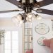 Here’s Your Guide to Choosing a Ceiling Fan