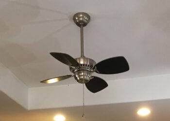 Thinking about Buying a Wall Fan? Read This First
