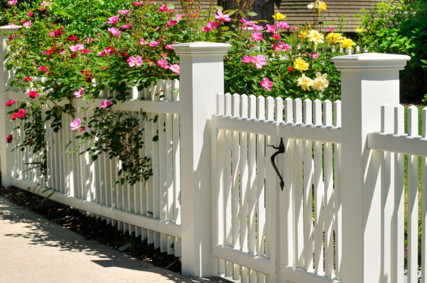 classic white fence color