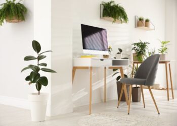 5 Tips to Set Up a Perfect Home Office