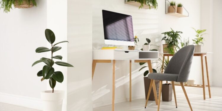 5 Tips to Set Up a Perfect Home Office
