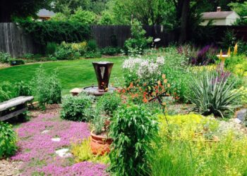 How to Conserve Water with Your Colorado Landscape Design