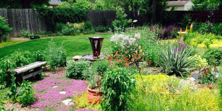 How to Conserve Water with Your Colorado Landscape Design