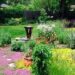 How to Conserve Water with Your Colorado Landscape Design