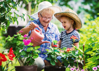 4 Reasons to Start a Garden and Grow Your Own Food