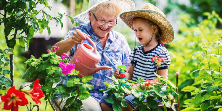 4 Reasons to Start a Garden and Grow Your Own Food