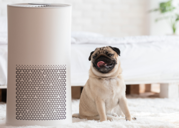 Is HEPA Air Purifier for Asbestos Effective?