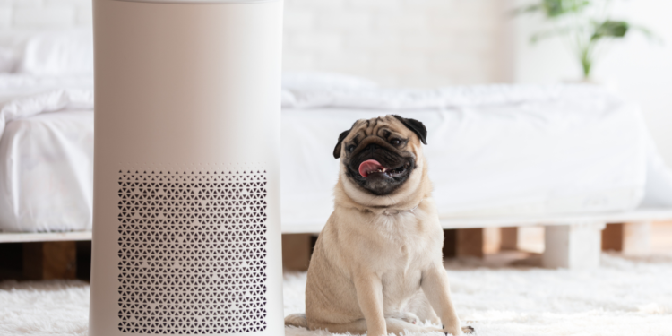 Is HEPA Air Purifier for Asbestos Effective?