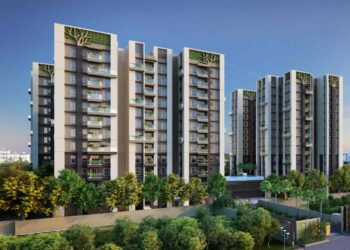 forest elevation day