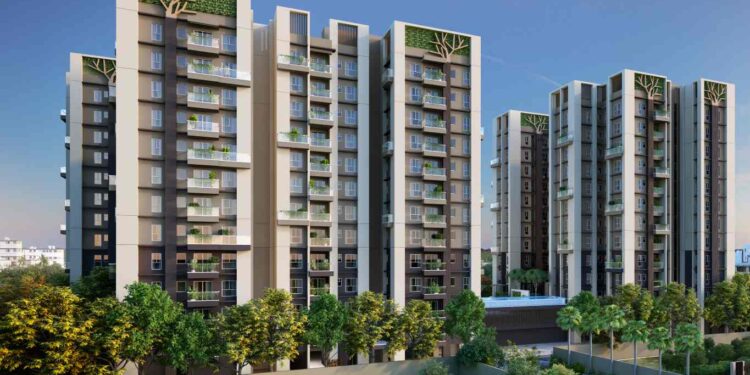 forest elevation day