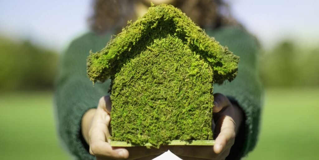 8 Ways To Make Your Home More Environmentally Friendly - House Integrals