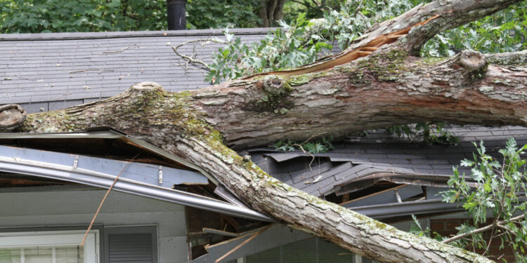 Is Your Home Insurance Prepared to Help You in an Emergency?