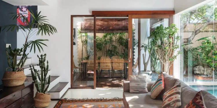 Rugs 101: The Different Types and Its Pros and Cons