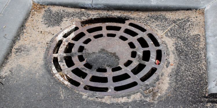 Guarding Your Drain: A Comprehensive Guide on What to Avoid Discarding