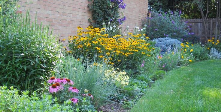 5 Easy Steps To Grow Flowers That Will Make Your Garden Absolutely Stunnin