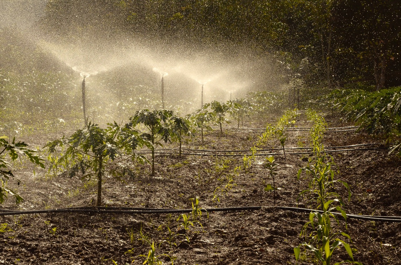 Water spraying in field