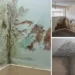 7 potential remedies for damp in your home