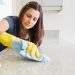 How a Pest Infestation Can Harm Your Home
