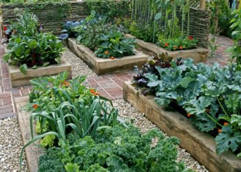 Best Yaheetech Raised Garden Bed Ideas