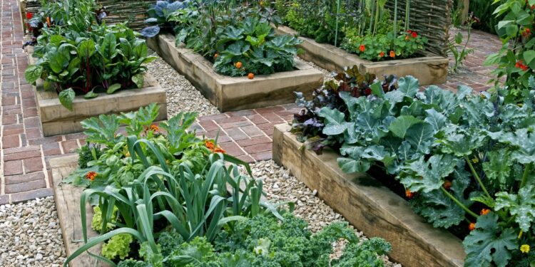 Best Yaheetech Raised Garden Bed Ideas