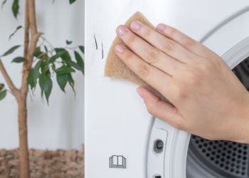 brown flakes in washing machine