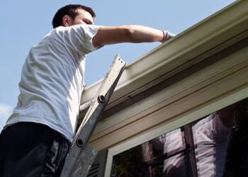 6 Roof Maintenance Tips for Homeowners
