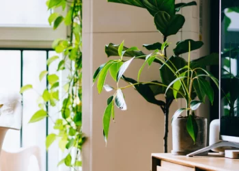 5 Home Changes For A More Eco-Friendly Property