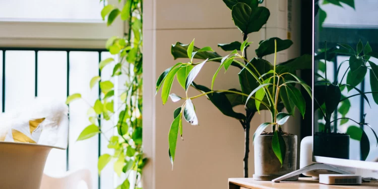 5 Home Changes For A More Eco-Friendly Property