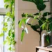 5 Home Changes For A More Eco-Friendly Property