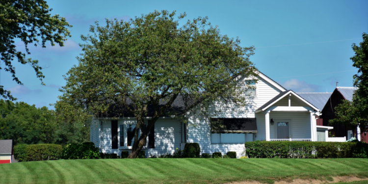 home with beautiful palce