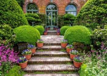 How You Can Improve Your Garden