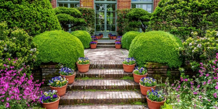 How You Can Improve Your Garden