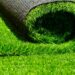 Should You Switch to Artificial Grass in 2022? 