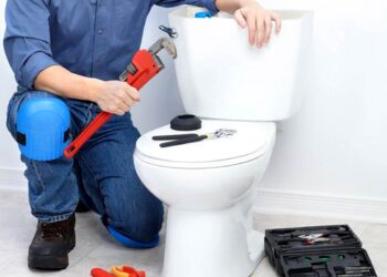 How to Fix a Toilet That Won’t Flush