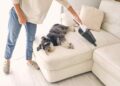 Keeping a Clean Home With Pets: Practical Strategies for Managing Fur, Dander, and Dirt